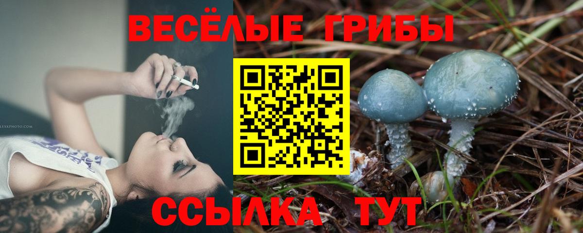 Качканар  Галлюциногенные грибы MAGIC MUSHROOMS  Вход с VPN 